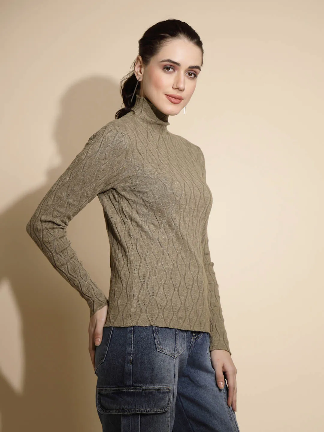 Brown Solid Full Sleeve Turtle Neck Knitted Casual Skivvy