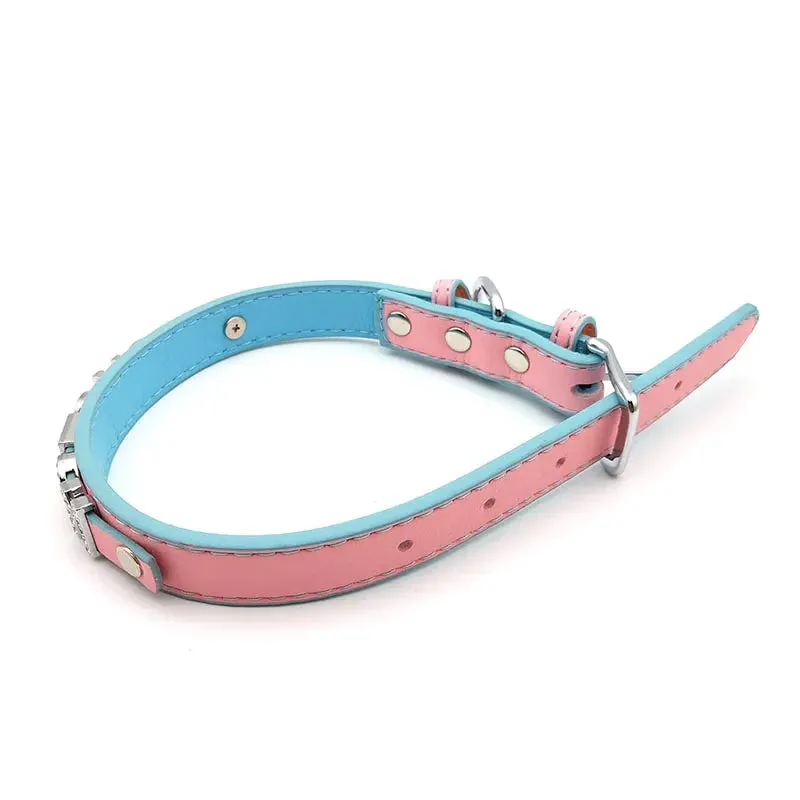 Bubblegum Trans Color Custom Collar