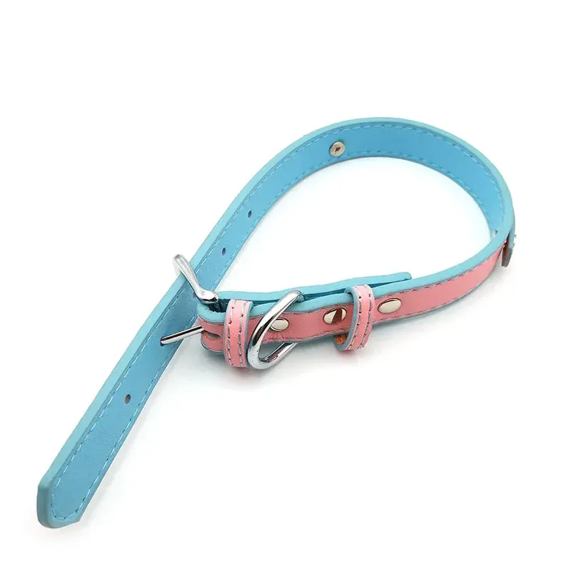 Bubblegum Trans Color Custom Collar