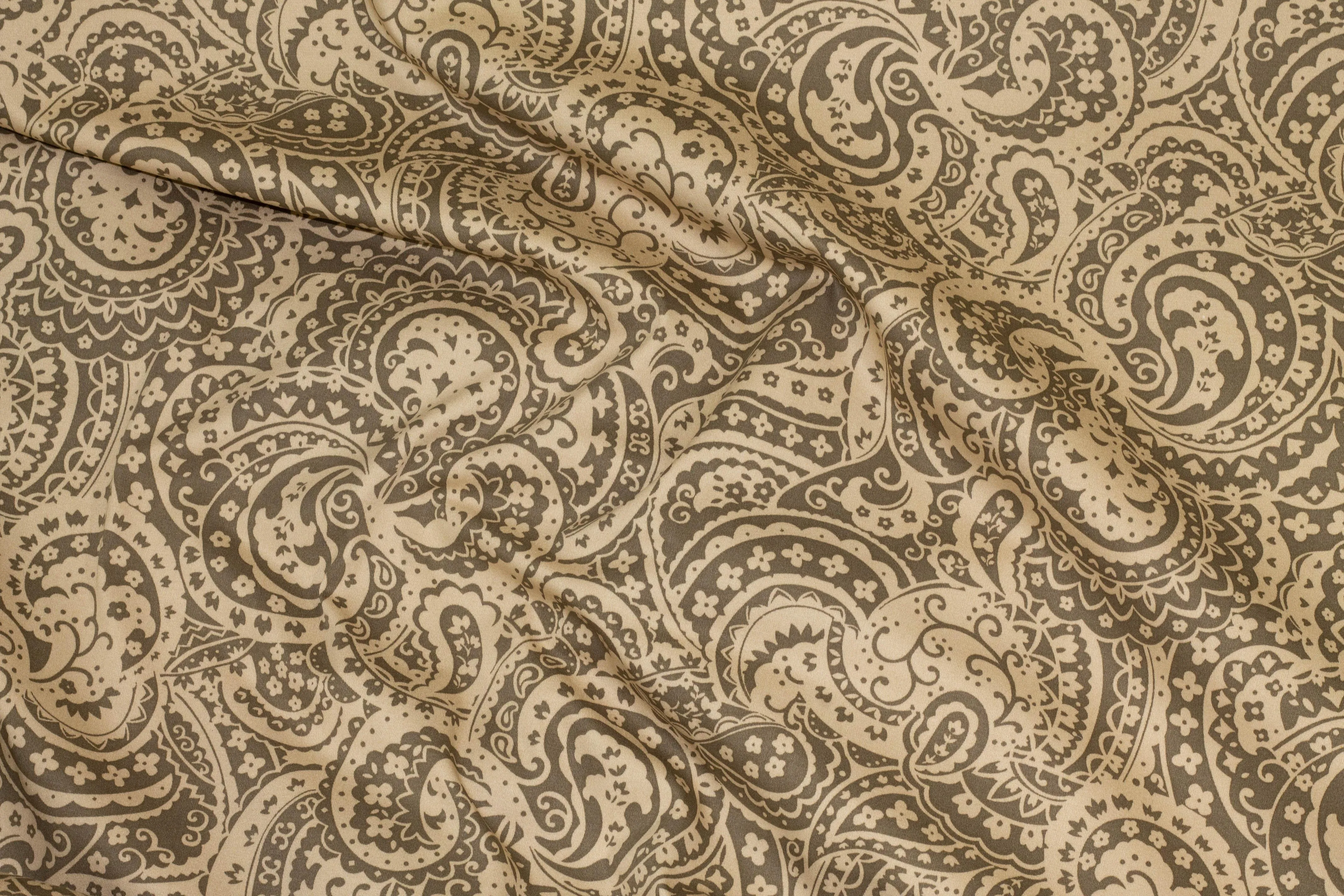 Cafe Paisley Stretch Cotton Sateen