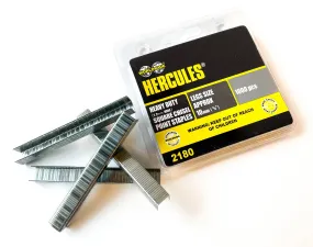 Worldwide 1000 Heavy Duty 10Mm Square 3/8" Staples